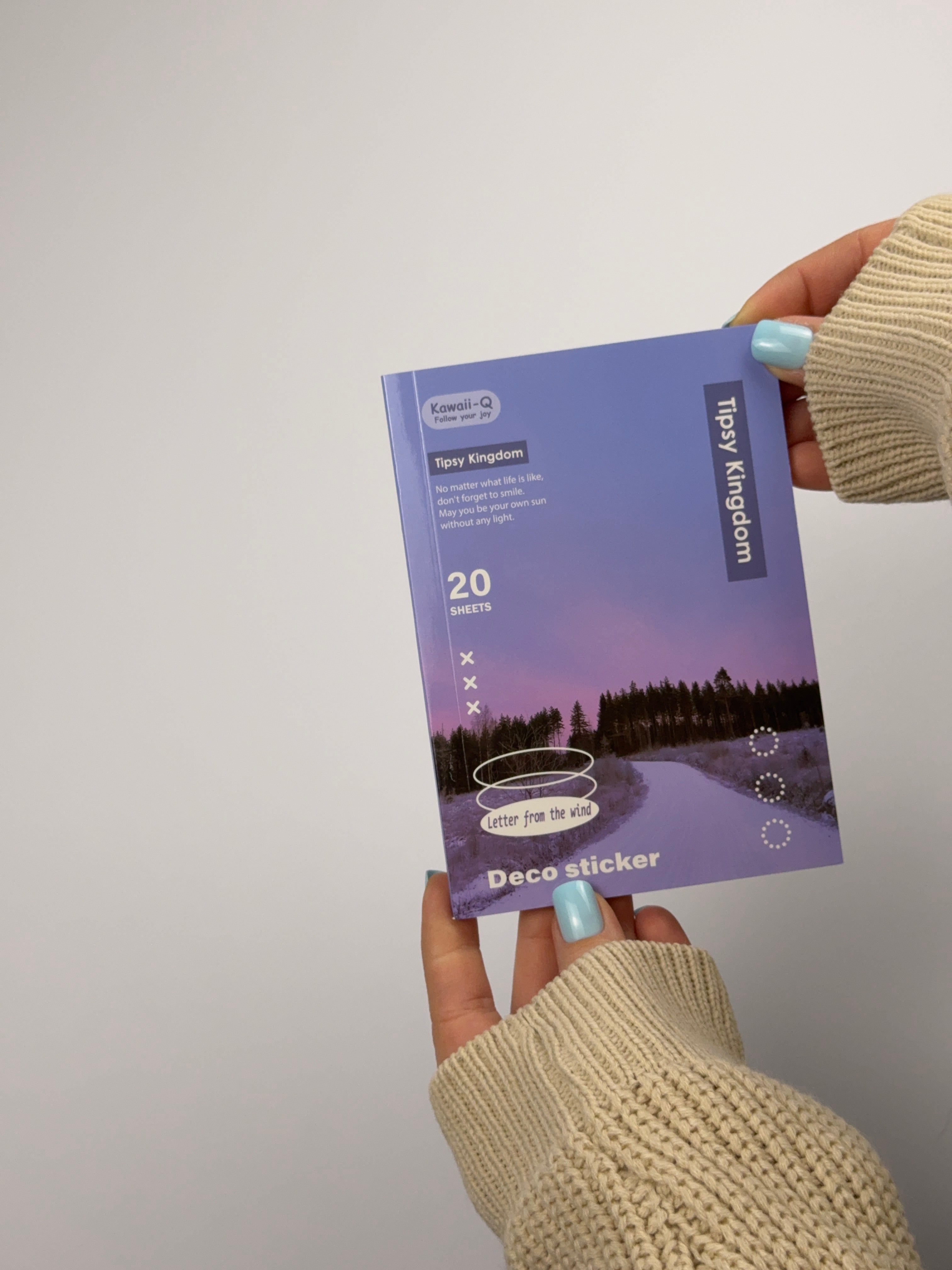 Aesthetic Sticker Book Set – 20 Sheets